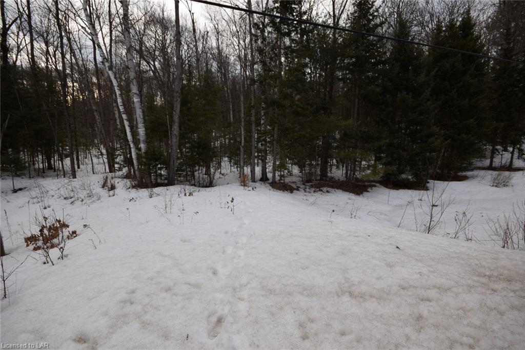 . HIGHWAY 35, Algonquin Highlands, Ontario (ID 40083620)