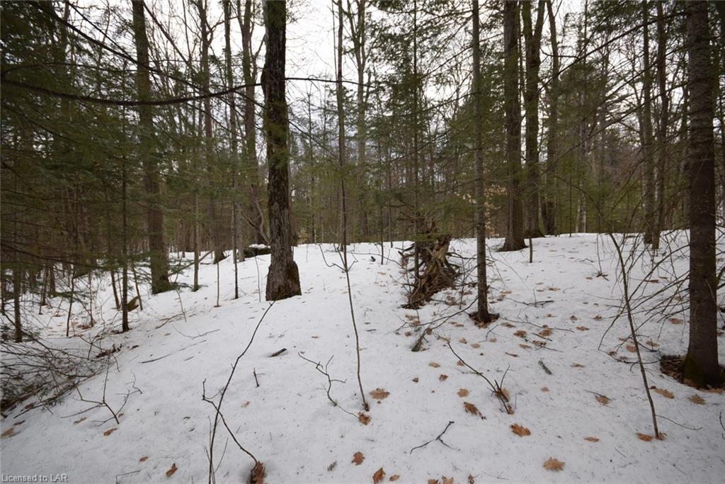 . HIGHWAY 35, Algonquin Highlands, Ontario (ID 40083633)