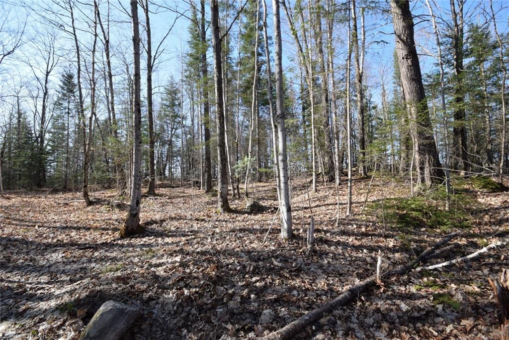 . HALIBURTON LAKE Road, Haliburton, Ontario (ID 40094952)