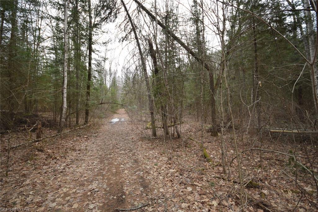 1194 LINKERT Road, Harcourt, Ontario (ID 40095427)