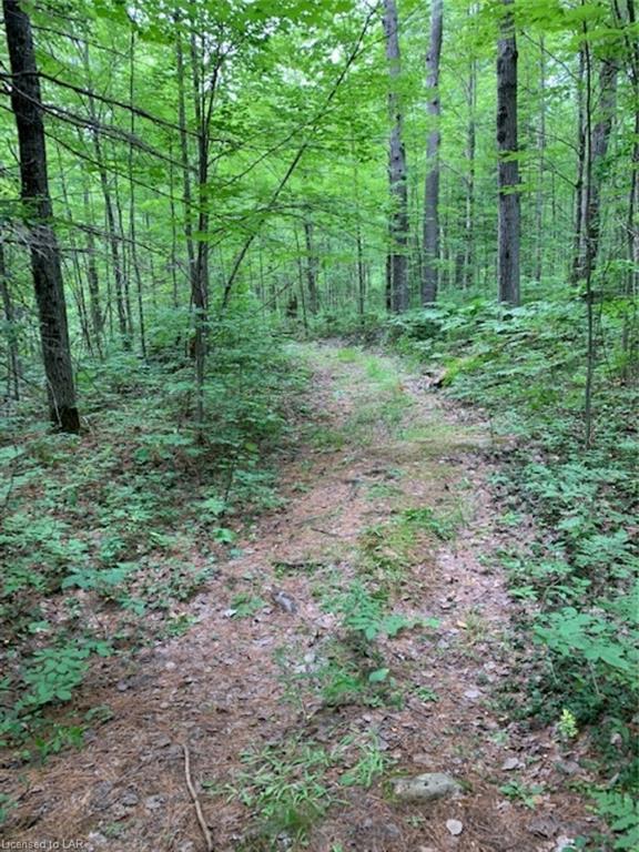 . LT 16 CON 5, Minden, Ontario (ID 40146727)