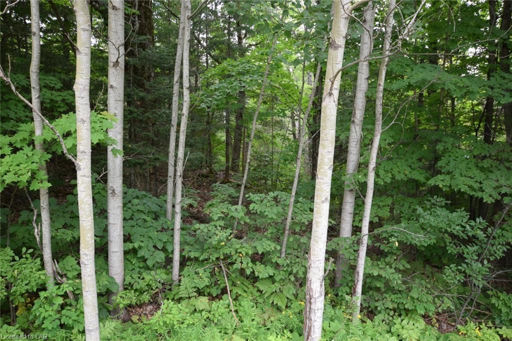 PL LT 16 COUNTY ROAD 503, Tory Hill, Ontario (ID 40152241)
