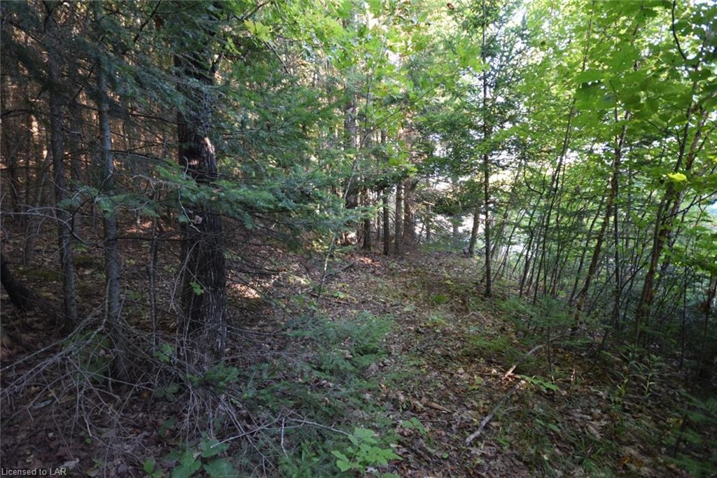 . OSPREY Road, Minden, Ontario (ID 40160327)