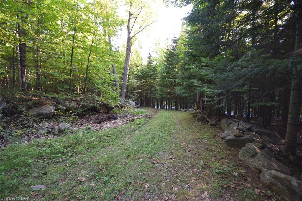 . OSPREY Road, Minden, Ontario (ID 40160353)