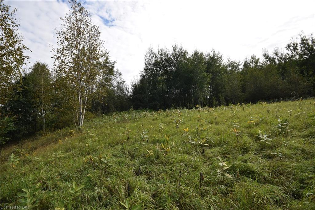 . COXFARM Road, Minden, Ontario (ID 40164192)