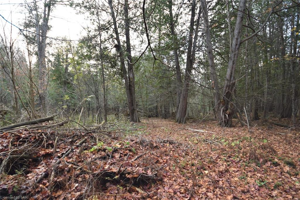 CHELSEA Lane, Algonquin Highlands, Ontario (ID 40184166)