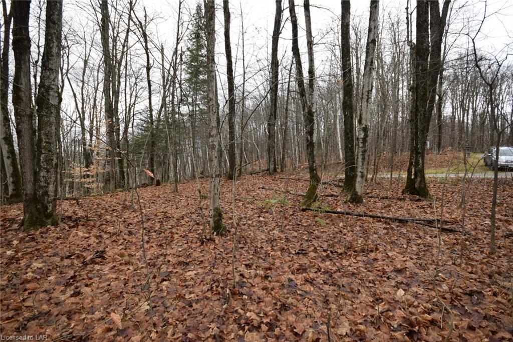LT 51 WENONA LAKE Road, Haliburton, Ontario (ID 40188517)