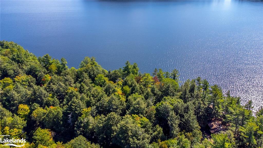 KAWAGAMA LAKE (WAO) Lake, Algonquin Highlands, Ontario (ID 40212937)