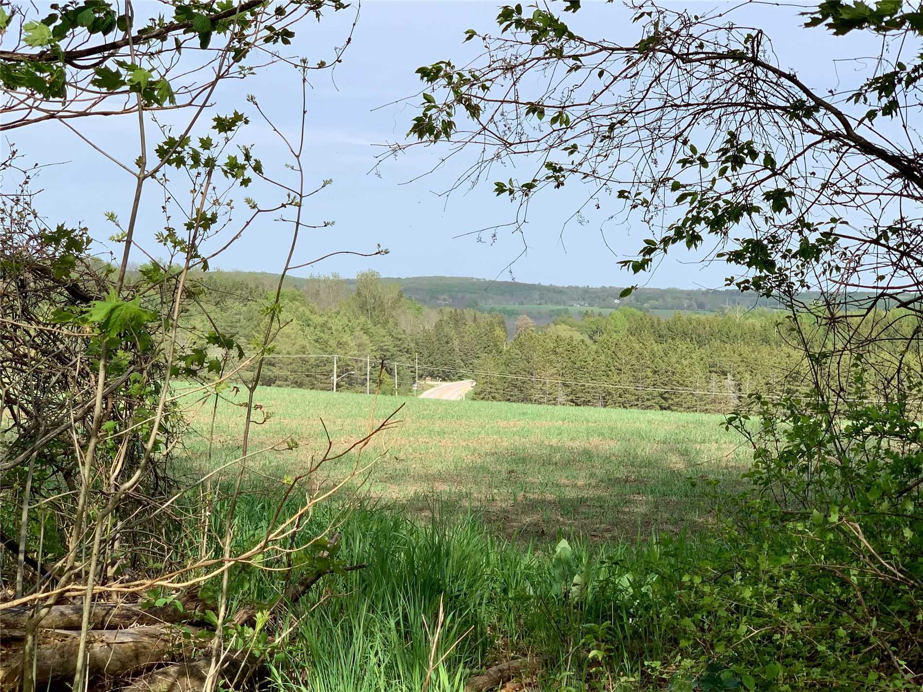Ptlt20 Grey 32 Rd, Grey Highlands, Ontario (ID X5242159)