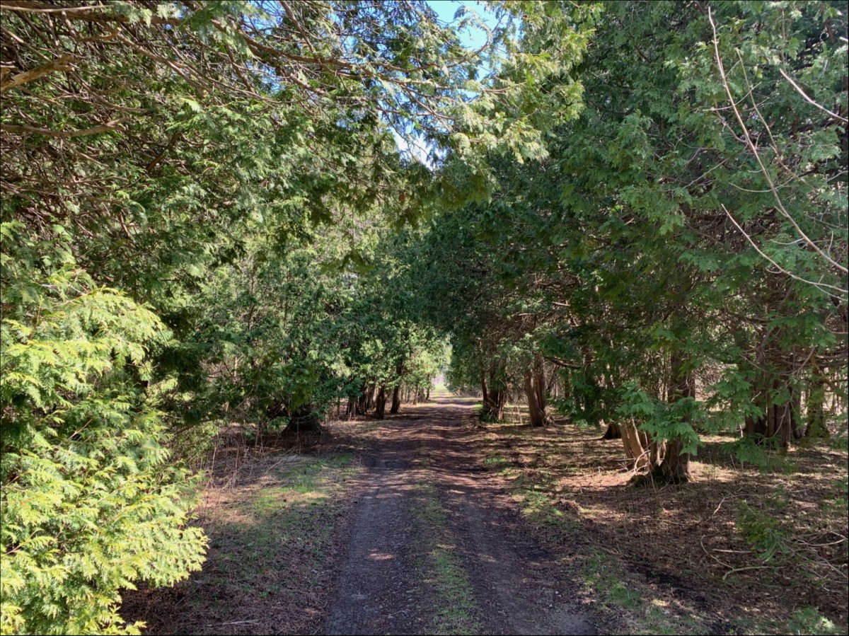 Pt Lt 8 Grey Road 12 Rd, Meaford, Ontario (ID X5195958)