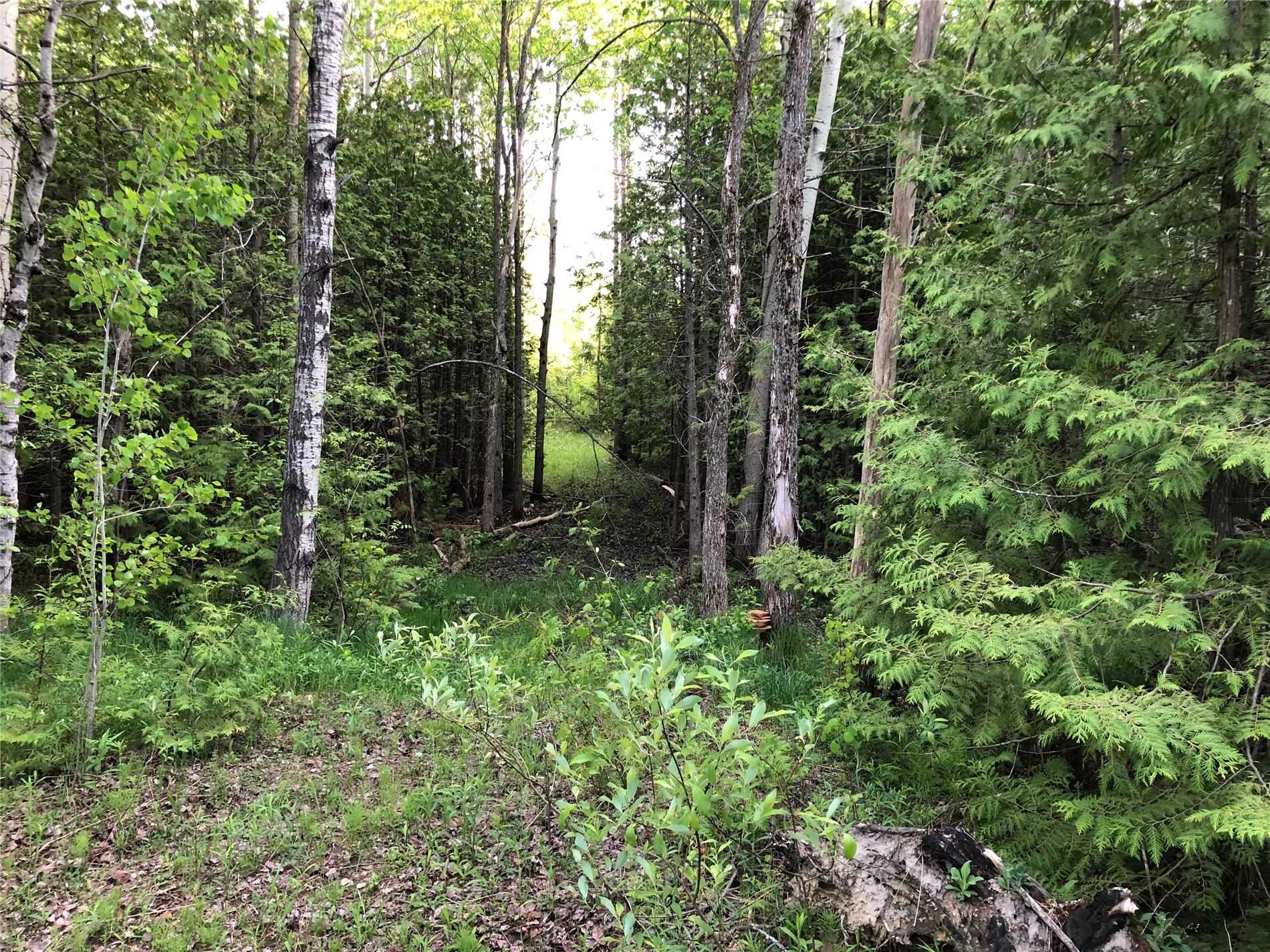Pt 131* West Back Line, Grey Highlands, Ontario (ID X5260796)