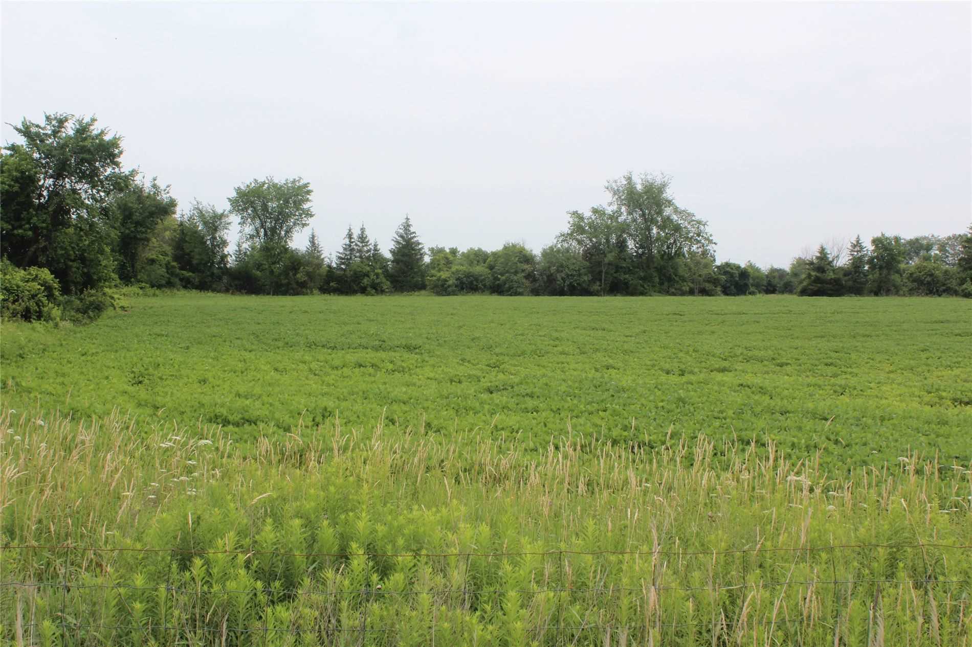 Lot 3 Woodbine Ave, Georgina, Ontario (ID N5094951)