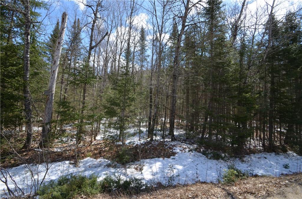 NEAR 3507 KAWAGAMA LAKE Road, Dorset, Ontario (ID 256616)