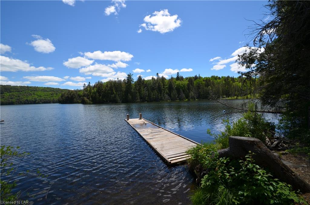 5980 LIVINGSTONE LAKE Road, Dorset, Ontario (ID 264139)
