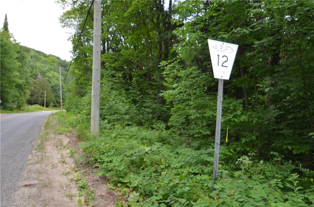 PRIOR TO 1046 LIVINGSTONE LAKE Road, Dorset, Ontario (ID 273714)