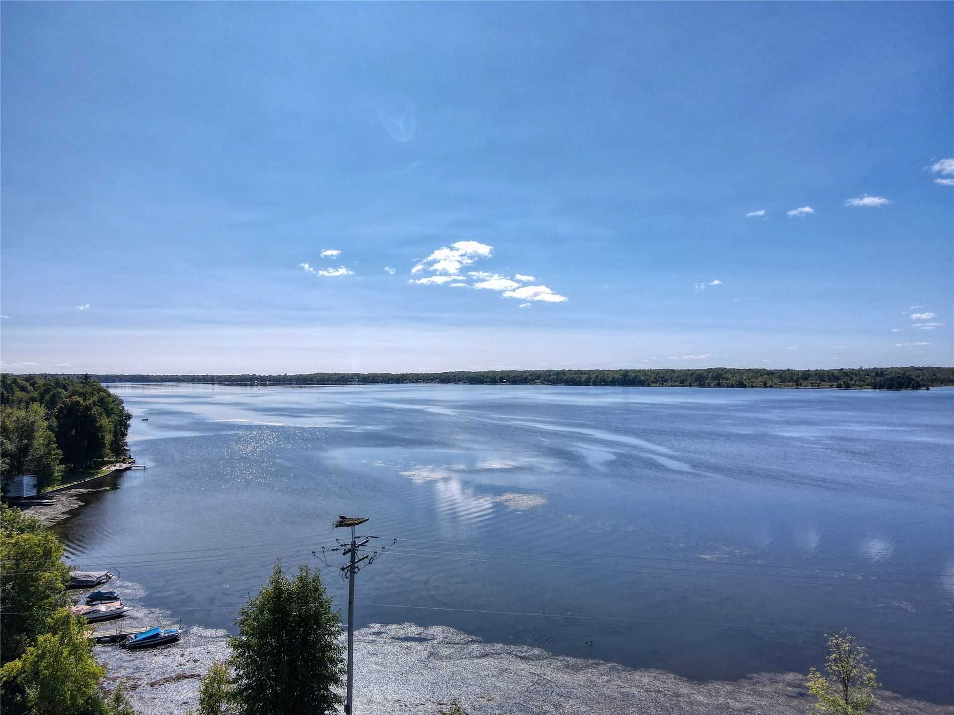 1 Driftwood Shores Rd, Kawartha Lakes, Ontario (ID X4913113)