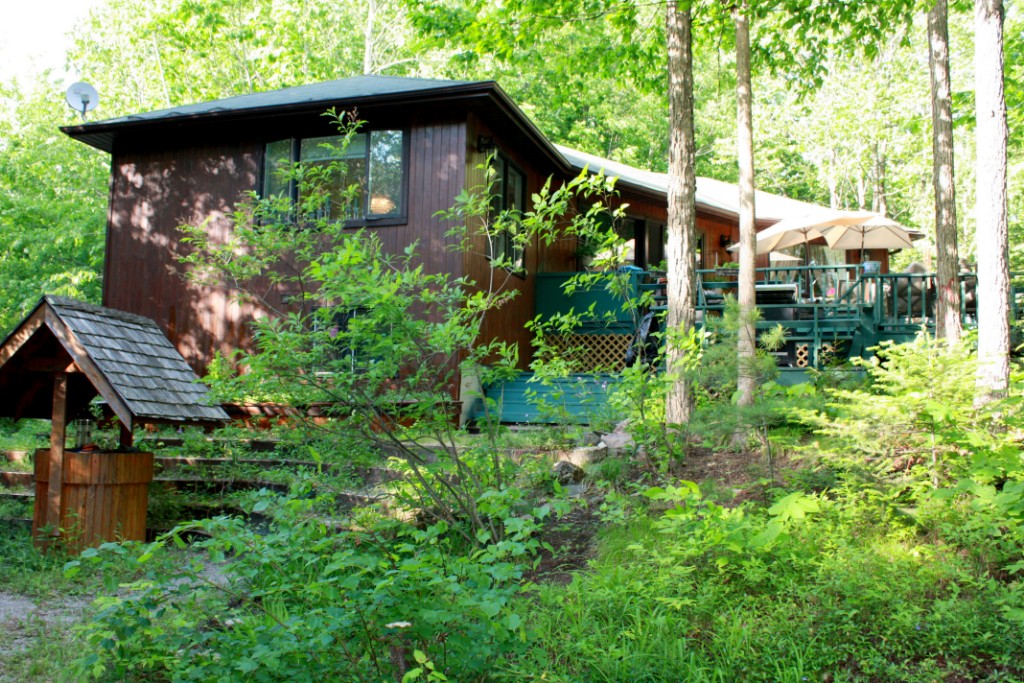 101 SAND LAKE CI, Buckhorn, Ontario (ID 283620119)