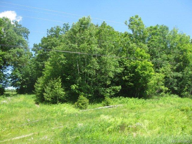 94-3 105 Route, Bear Island, New Brunswick (ID NB018918)