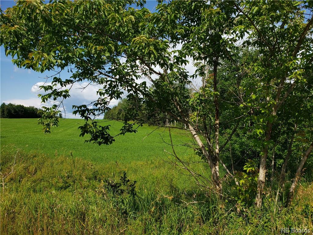 Lot 1 Campbell Settlement Road, Rossville, New Brunswick (ID NB061523)
