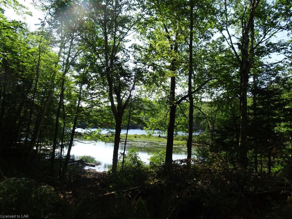 SELECT Trail, Haliburton, Ontario (ID 40007889)