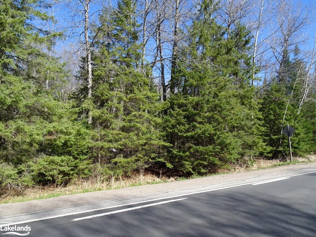 COUNTY ROAD 21, Minden, Ontario (ID 40243821)