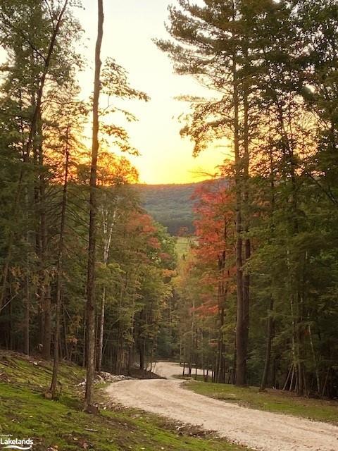 1914 KENNISIS LAKE Road, West Guilford, Ontario (ID 40254135)