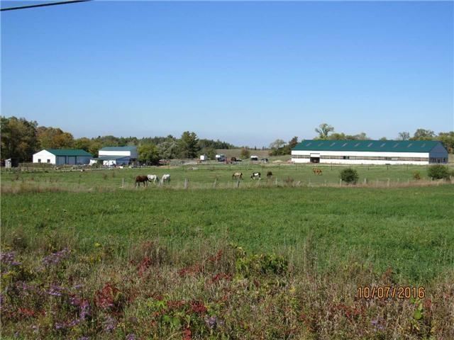 4244 Doane Rd East, Bradford-west Gwillimbury Township, Ontario