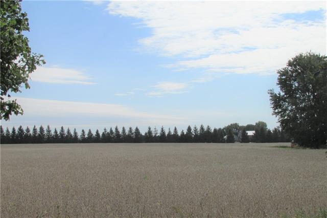 3621 182 Road, Dublin, Ontario (ID 30768619)