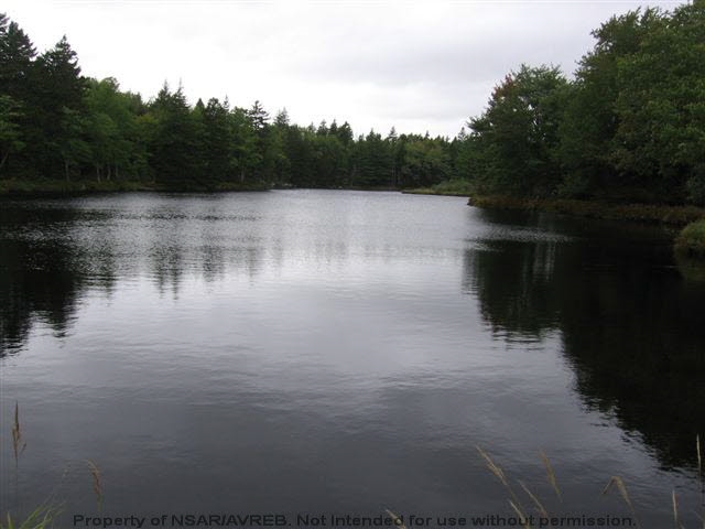 Big River Road, Forties, Nova Scotia (ID 201821591)