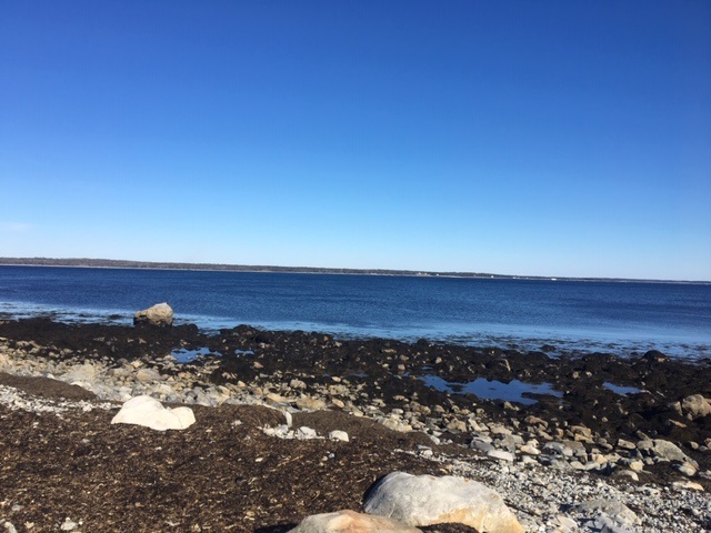 Lot Sandy Point Road, Sandy Point, Nova Scotia (ID 201905285)
