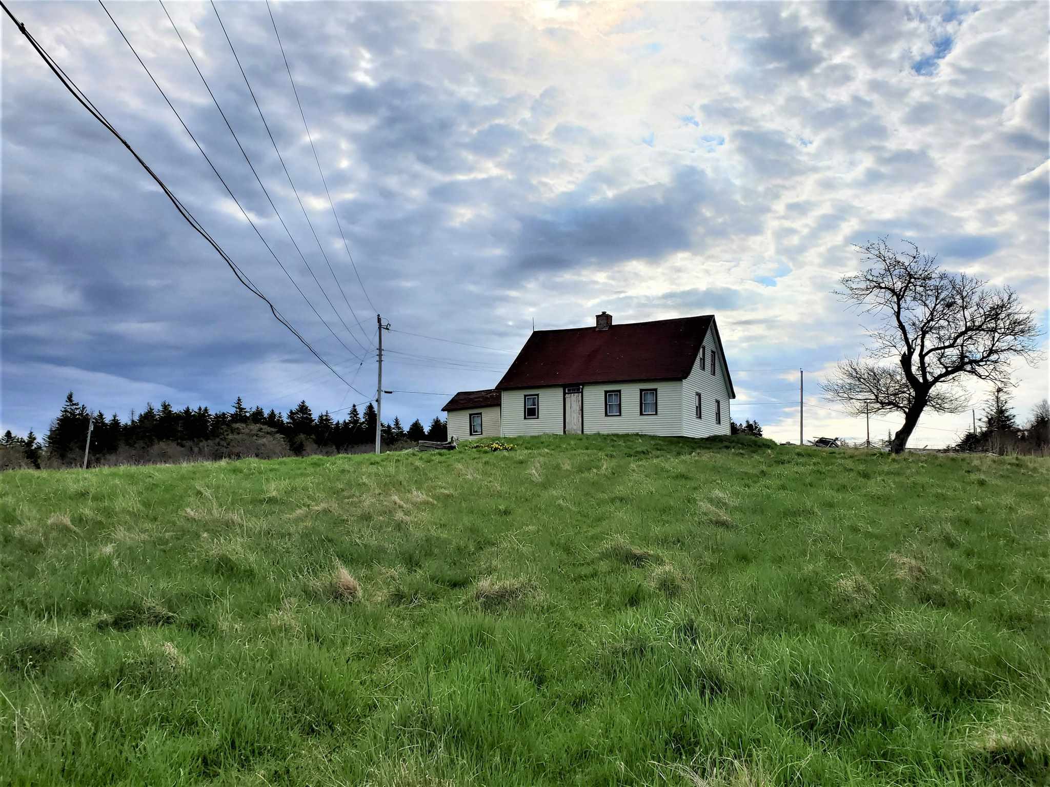 Rous Island, Indian Point, Nova Scotia (ID 202107279)
