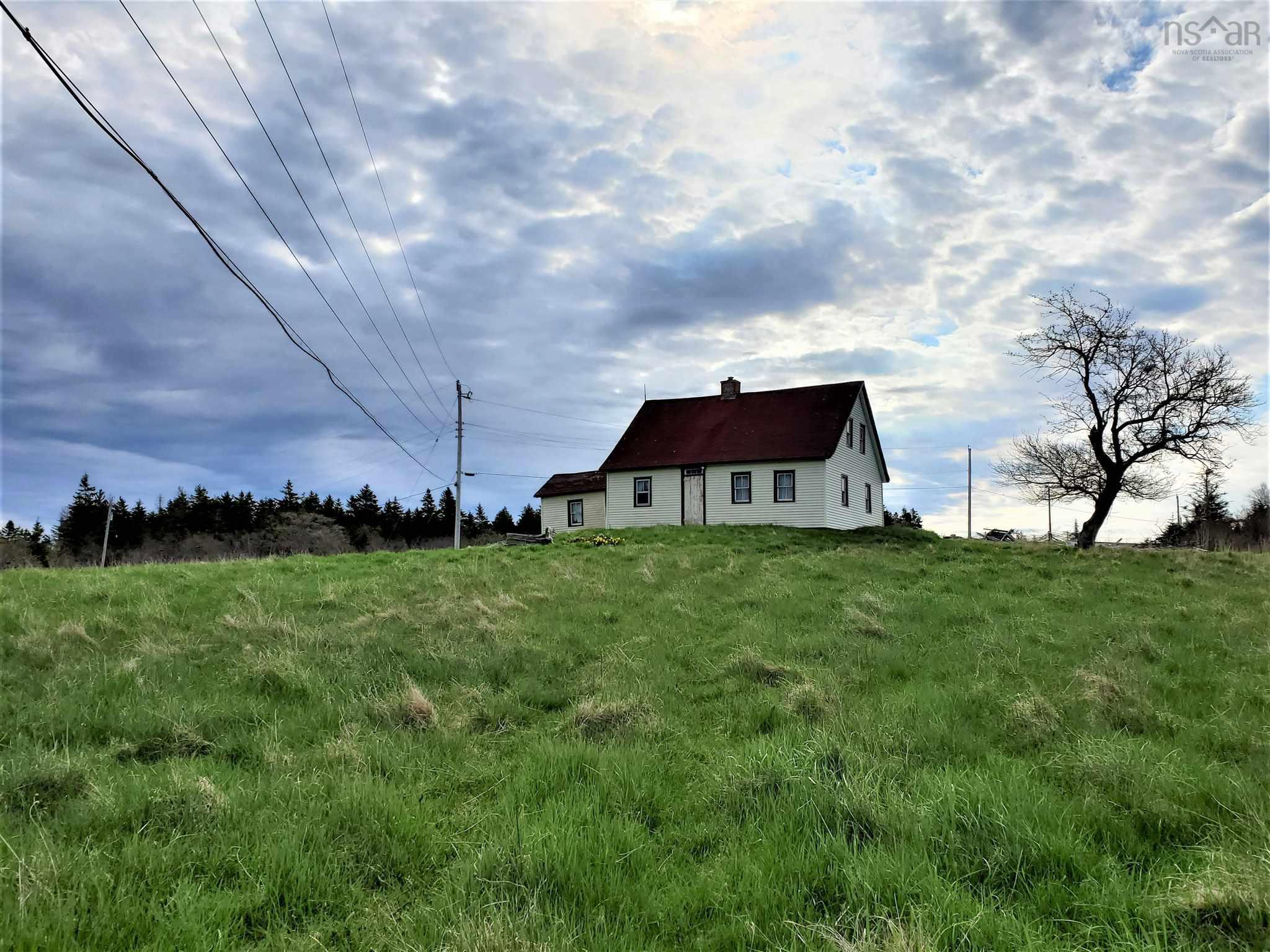 Rous Island, Indian Point, Nova Scotia (ID 202125688)