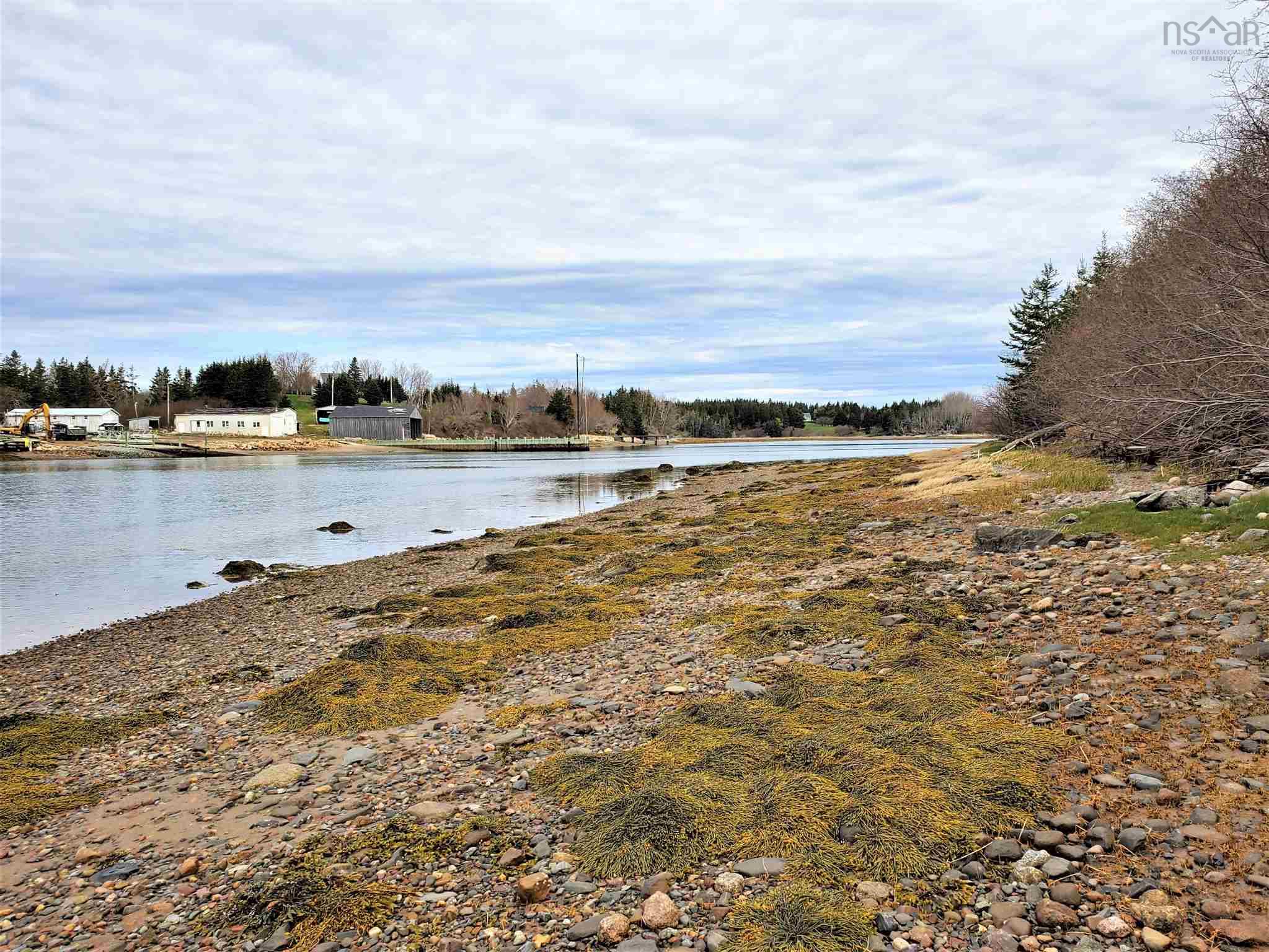Rous Island, Indian Point, Nova Scotia (ID 202125688)