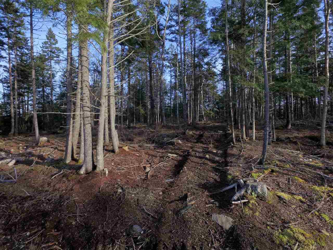 Lot 8 Forest Haven Drive, Italy Cross, Nova Scotia (ID 201816841)