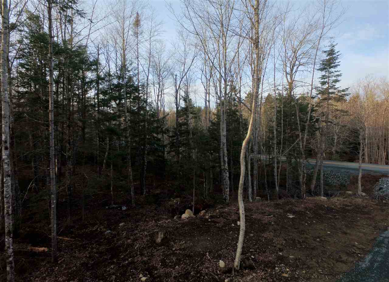 Lot 7 Forest Haven Drive, Italy Cross, Nova Scotia (ID 202003746)