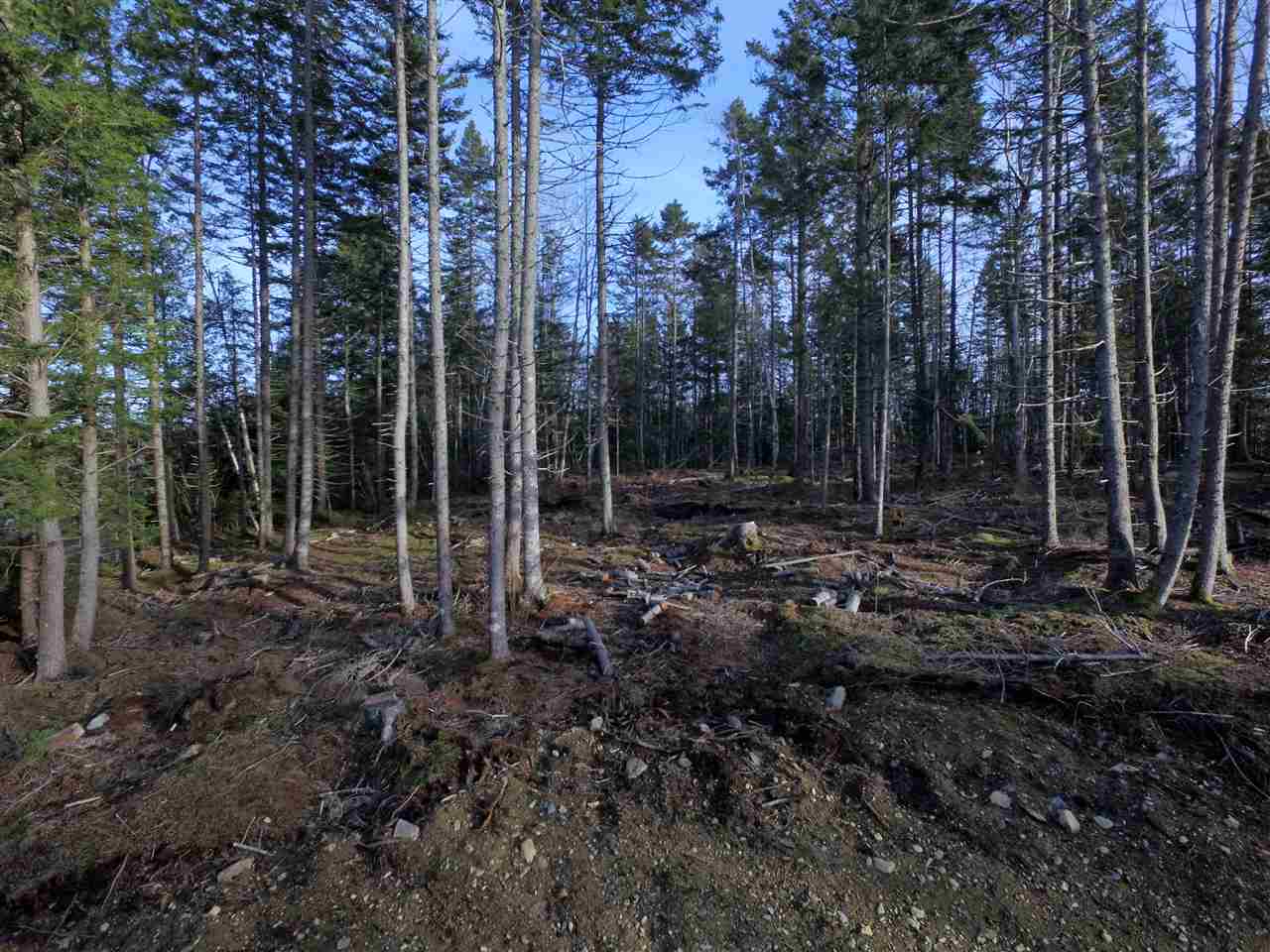 Lot 1 Forest Haven Drive, Italy Cross, Nova Scotia (ID 202110120)