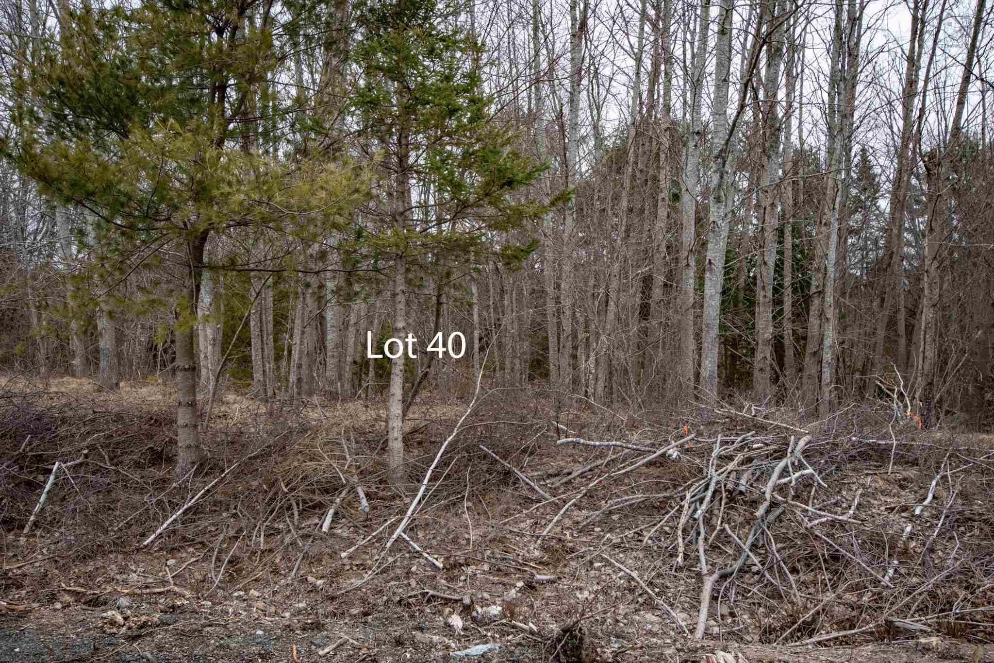 Lot 40 DeLong Lane, New Germany, Nova Scotia (ID 202127252)