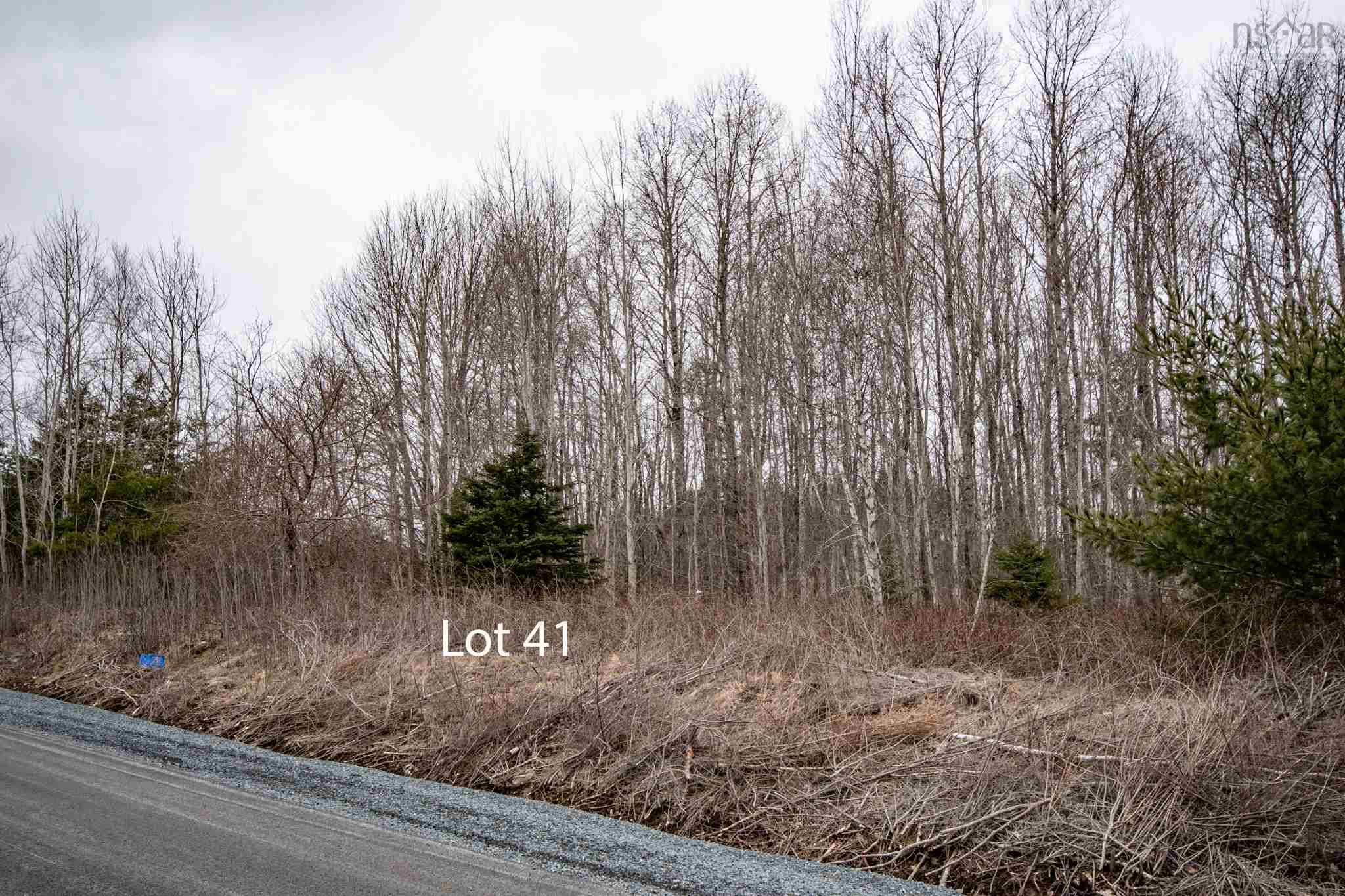 Lot 41 DeLong Lane, New Germany, Nova Scotia (ID 202127353)