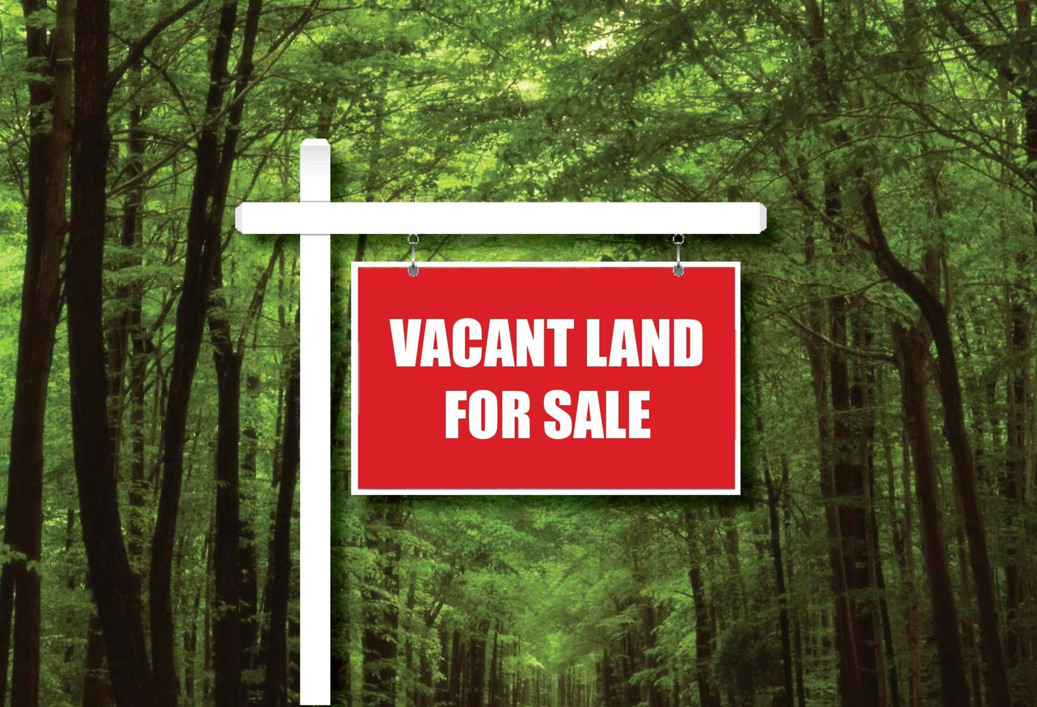 Lot MW-1A Camperdown School Road, Middlewood, Nova Scotia (ID 202128797)