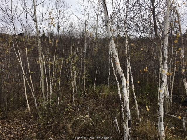 820 Lapointe Street, Sudbury, Ontario (ID 2051520)