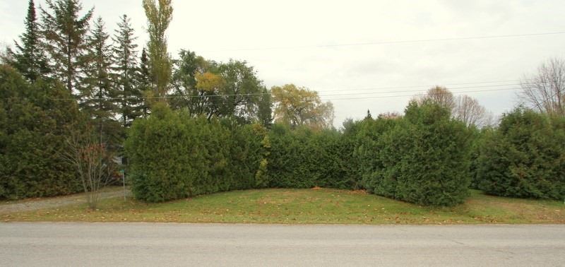 11 Macpherson Cres, Kawartha Lakes, Ontario (ID X4678685)