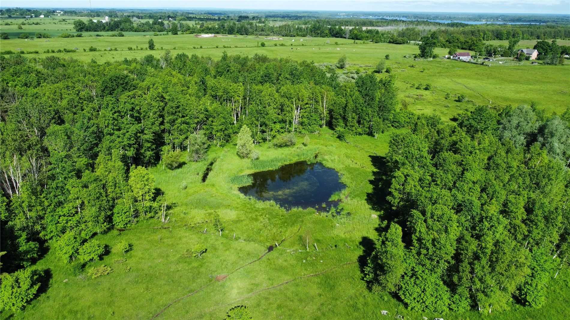 Lt34-36 Portage Rd, Kawartha Lakes, Ontario (ID X5603417)