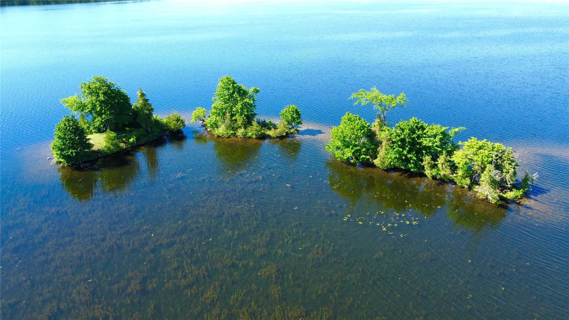 Lt 1 Canal Lake, Kawartha Lakes, Ontario (ID X5635905)