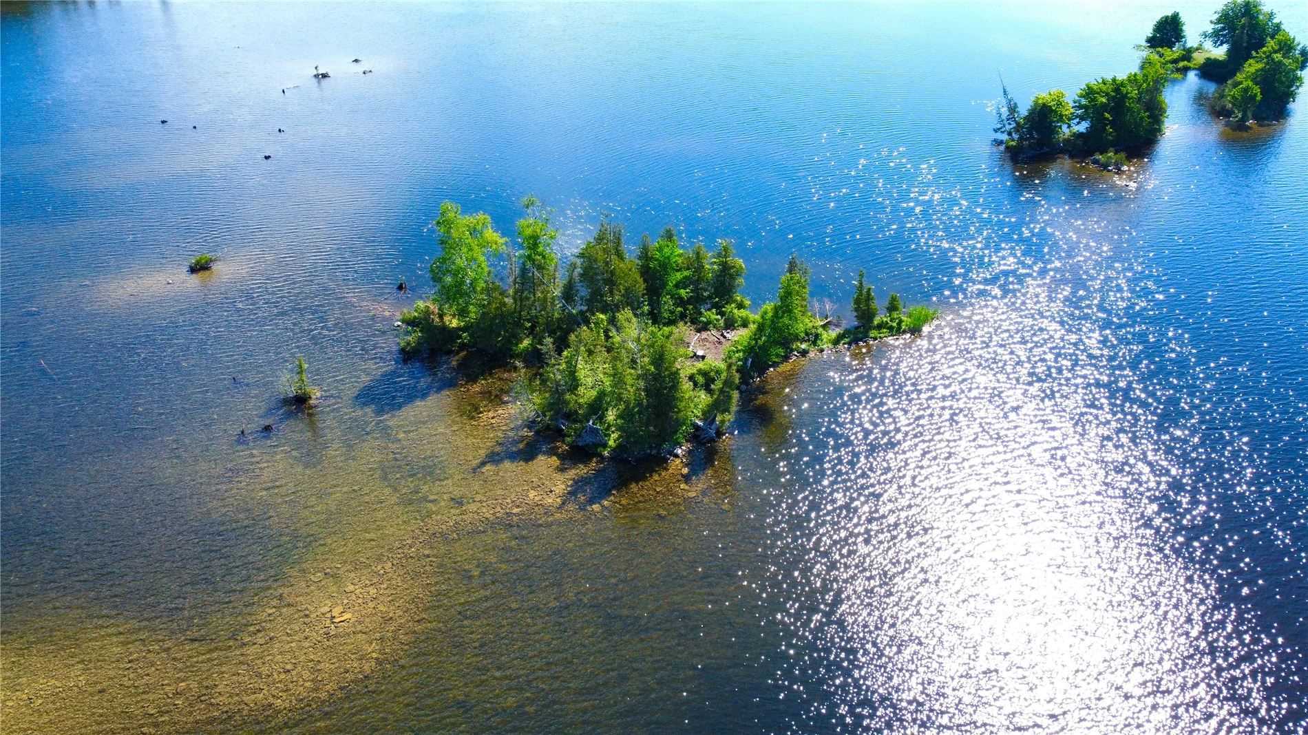 Lt 1 Canal Lake, Kawartha Lakes, Ontario (ID X5635905)