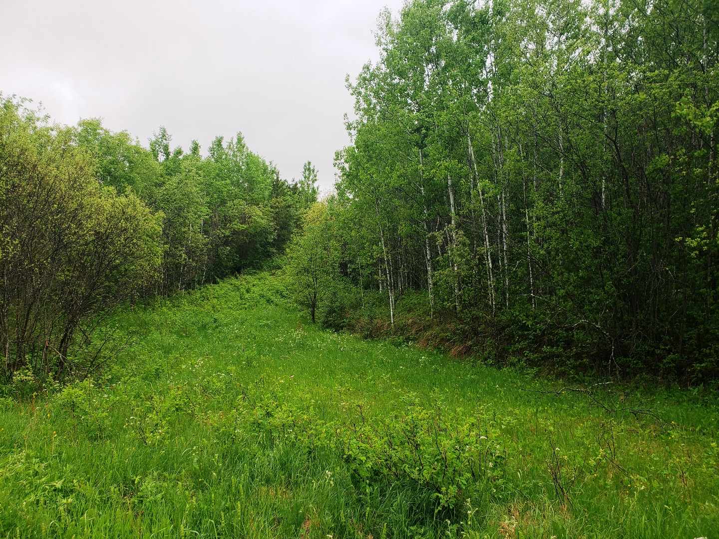 Centre Road, Thunder Bay, Ontario (ID TB201210)