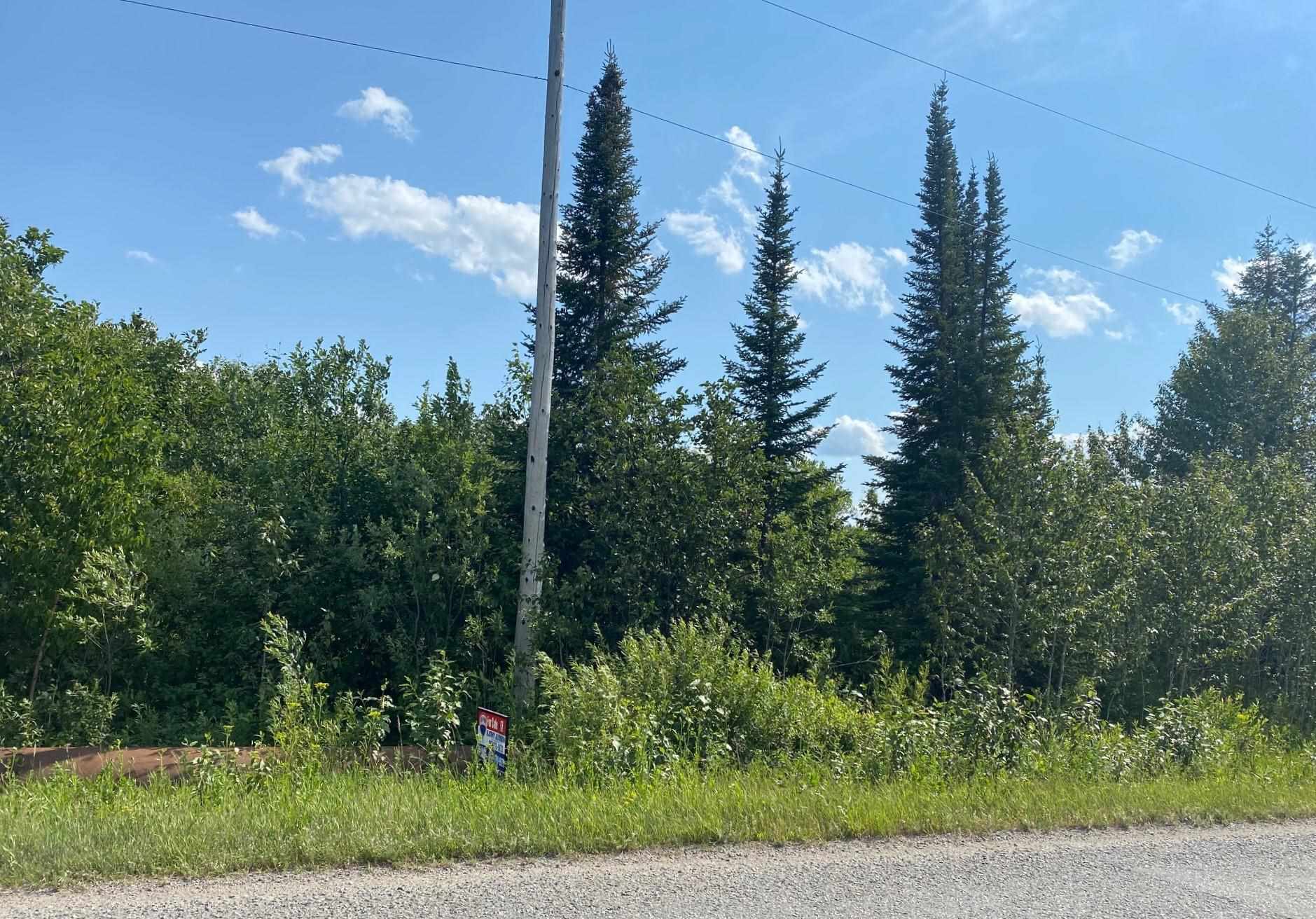 PT LT 9 Bone Road, Alberton, Ontario (ID TB211910)