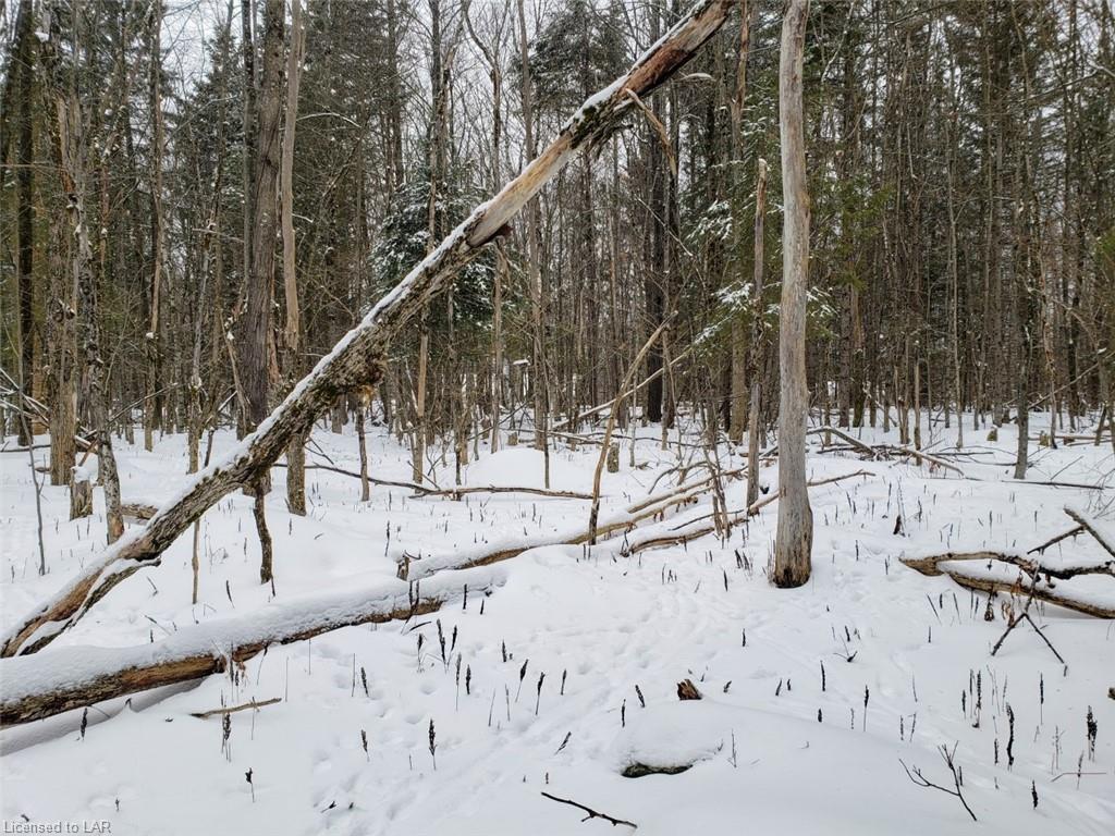 - 118 Highway, Carnarvon, Ontario (ID 241676)