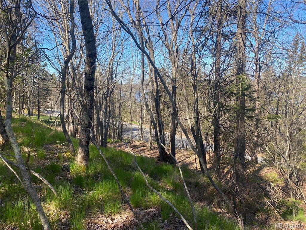 Lot B Kennebecasis River Road, Hampton, New Brunswick (ID NB072283)