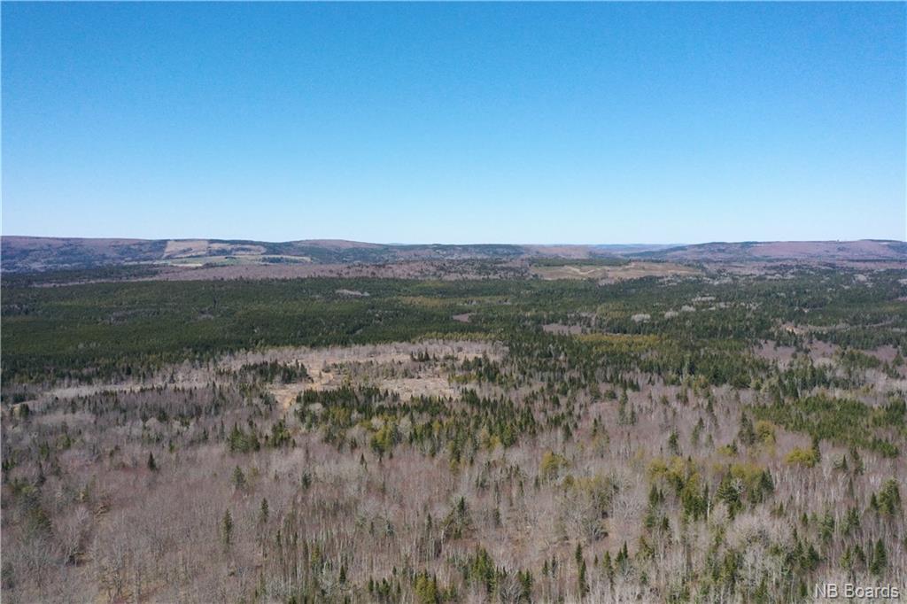 Woodlot Back Settlement Road, Upperton, New Brunswick (ID NB072285)