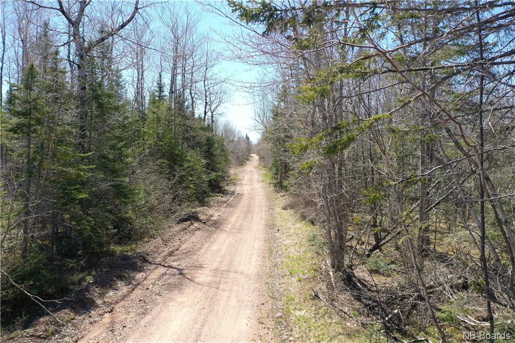 Woodlot Back Settlement Road, Upperton, New Brunswick (ID NB072285)